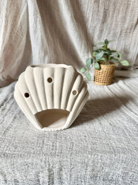 Diffuseur coquillage