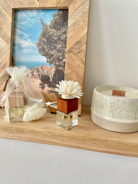 Diffuseur parfum pour véhicule