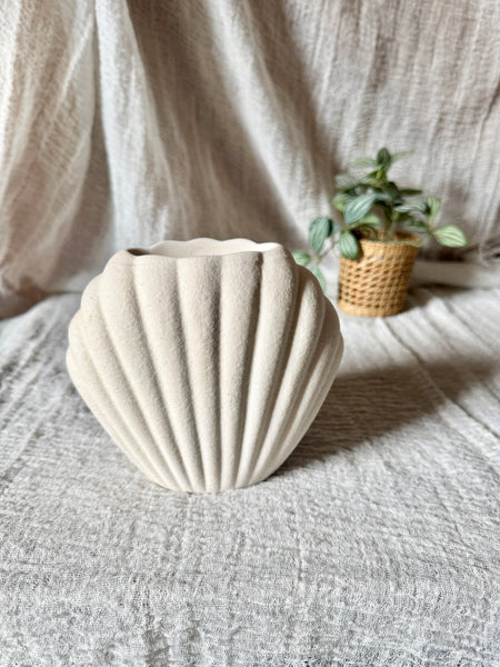 Diffuseur coquillage