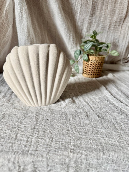 Diffuseur coquillage