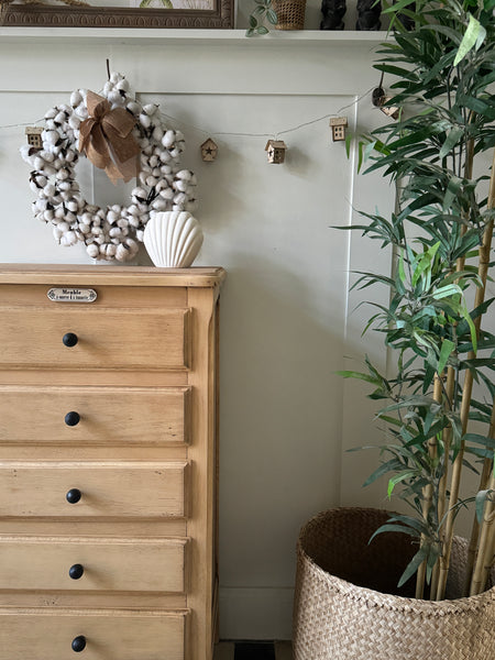Diffuseur coquillage