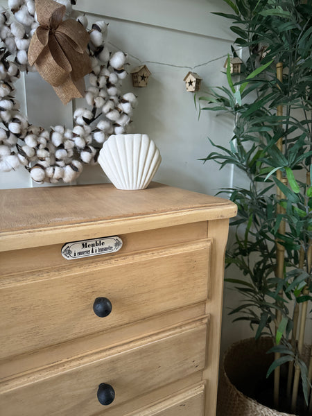 Diffuseur coquillage