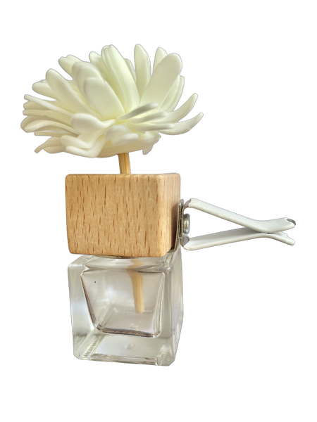 Diffuseur parfum pour véhicule