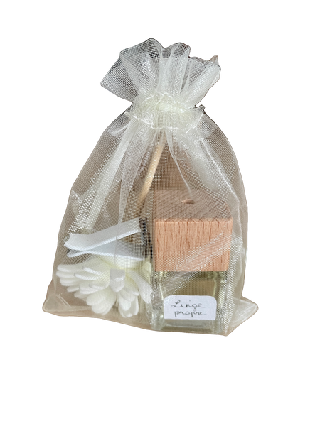 Diffuseur parfum pour véhicule