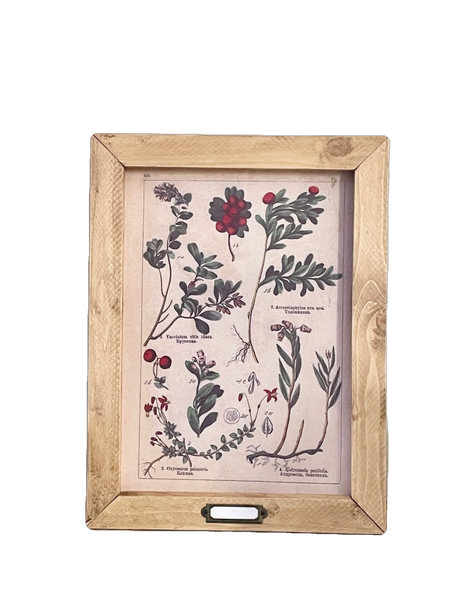 Tableau affiche botanique