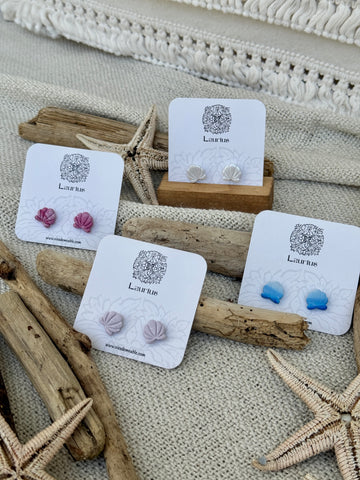 Puce d'oreille Coquillage